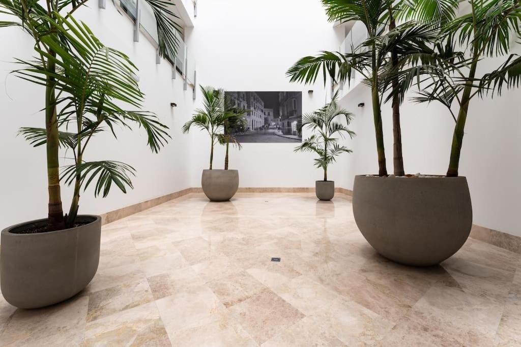 דירות Premium Flat In Malaga Center With Free Parking מראה חיצוני תמונה